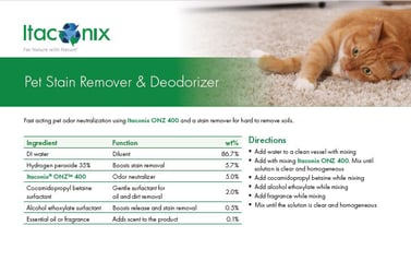 Formula: Pet Stain Remover & Deodorizer